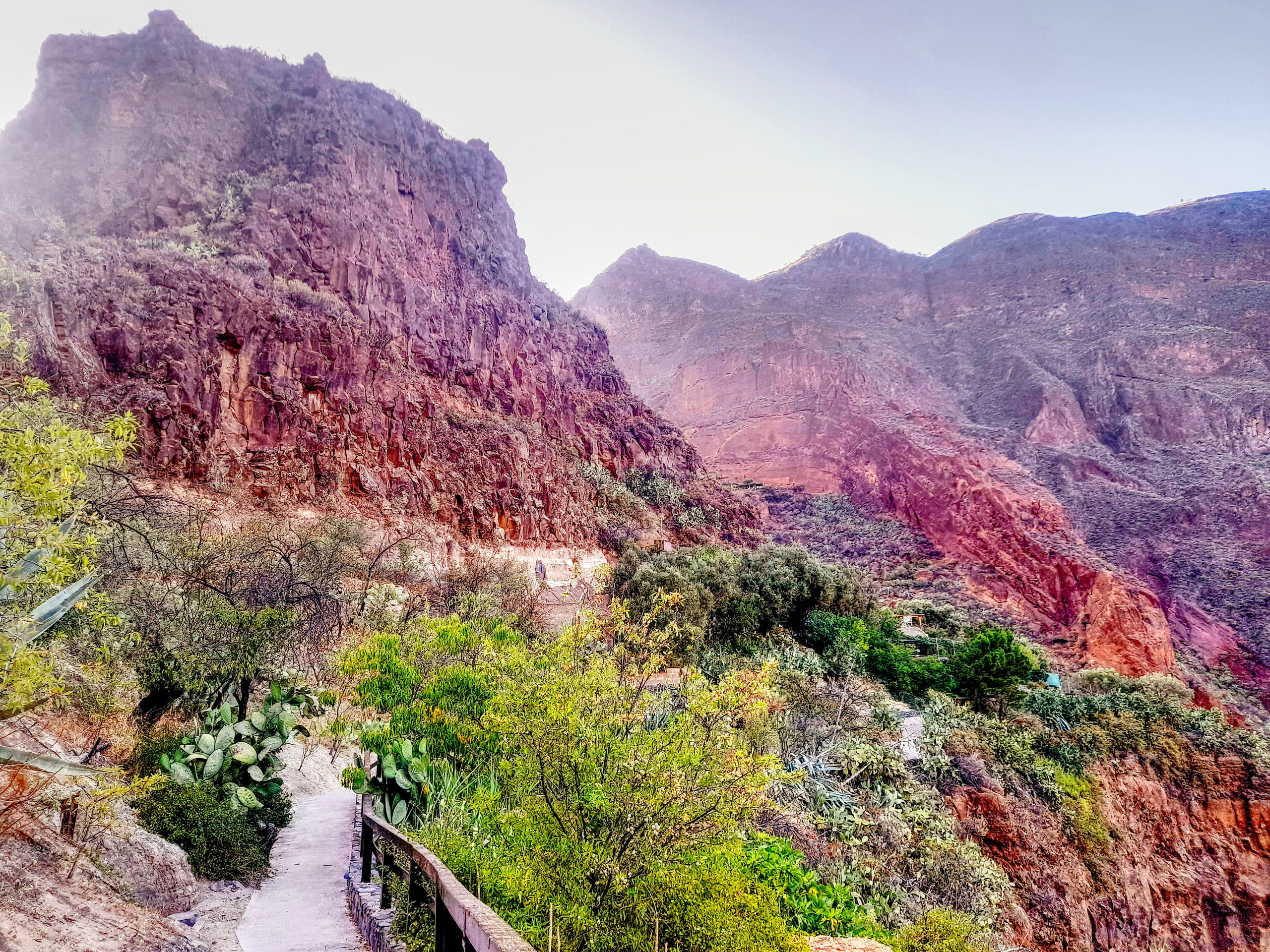 barranco de guayadeque in gran canaria