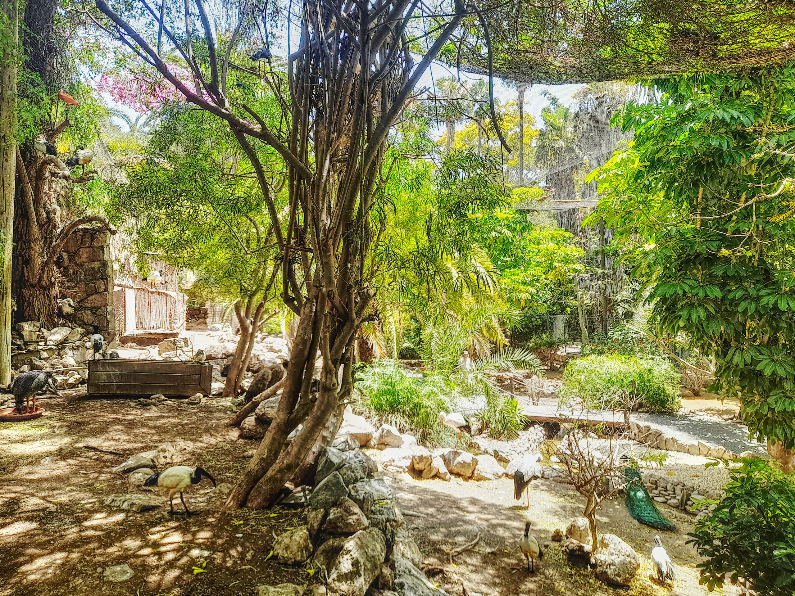 palmitos park