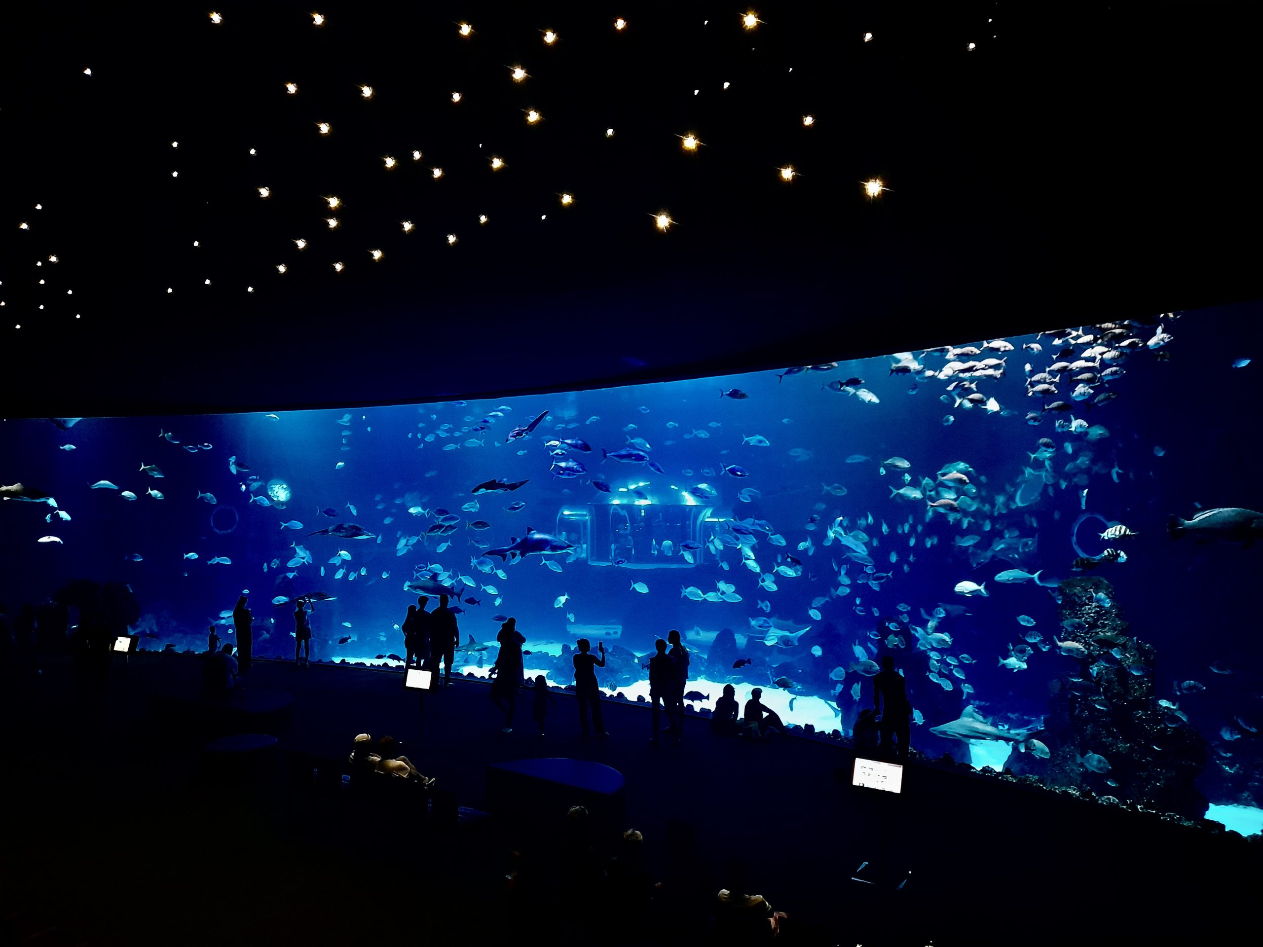 view of the large aquarium at Poema del Mar