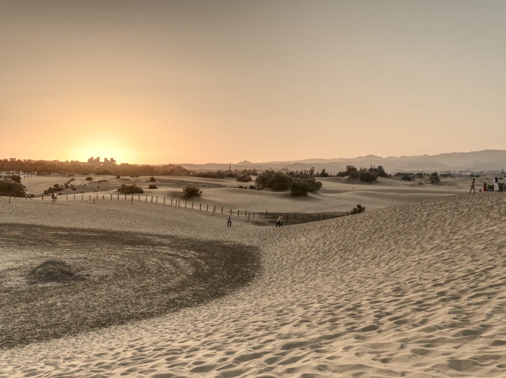 Maspalomas sand dunes at sunset, Gran Canaria