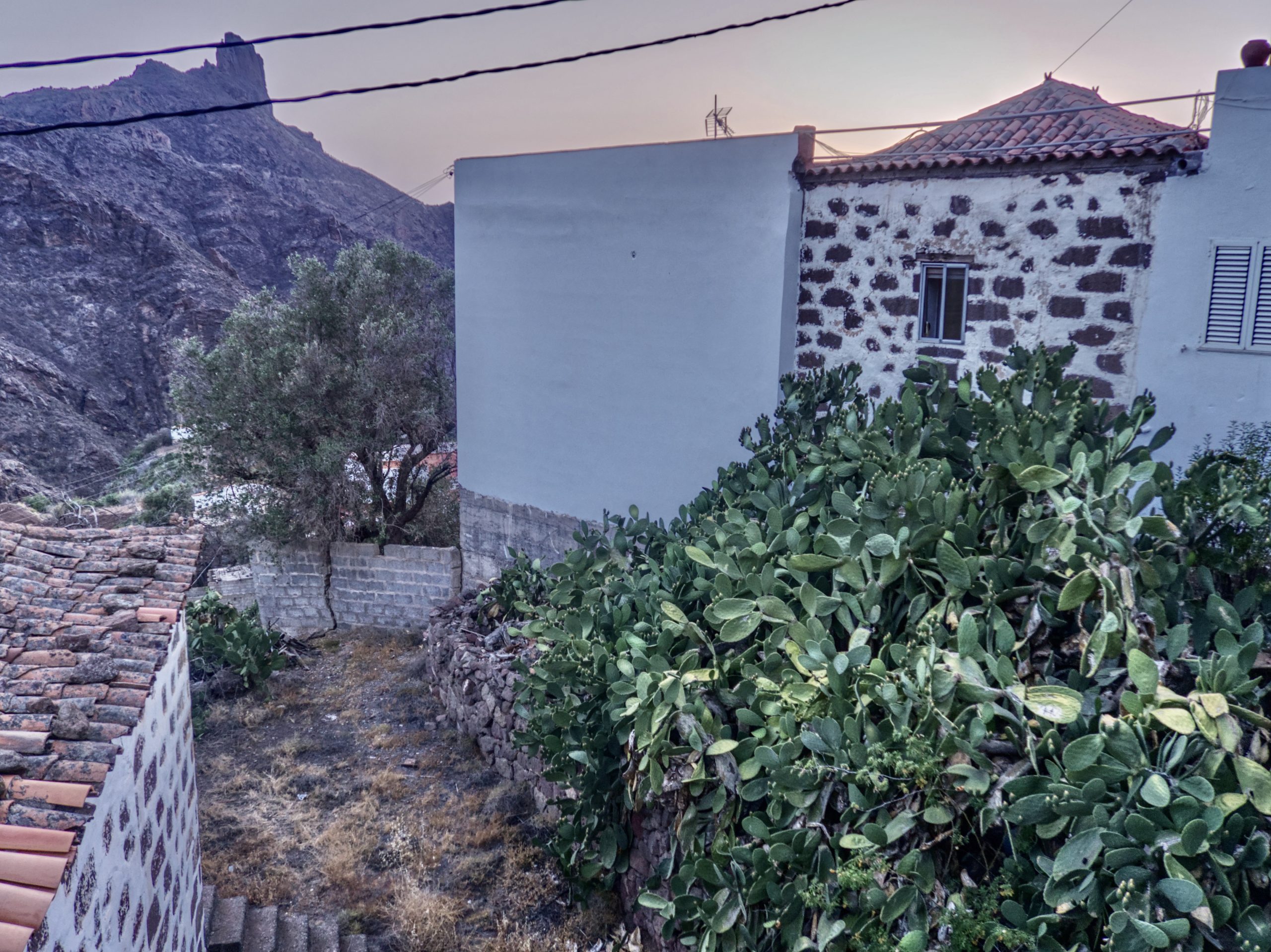 Tejeda house
